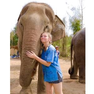 Meet your Posher, Annabel